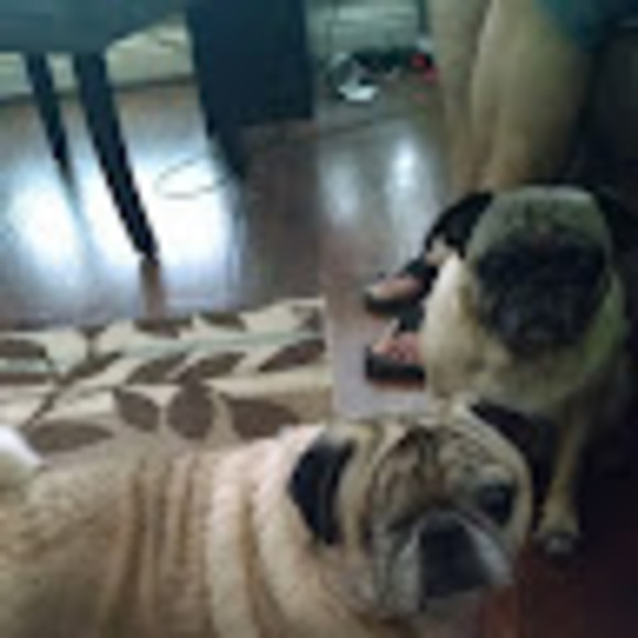 Meet your Posher, Leslie - Picture 1 of 1